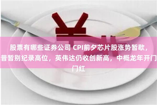 股票有哪些证券公司 CPI前夕芯片股涨势暂歇，标普暂别纪录高位，英伟达仍收创新高，中概龙年开门红